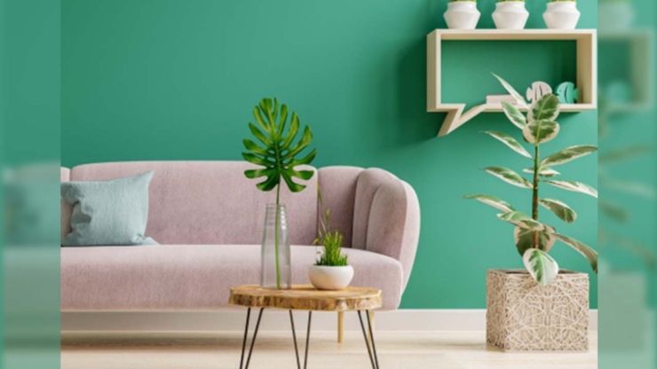 Nature-Inspired Home Decor